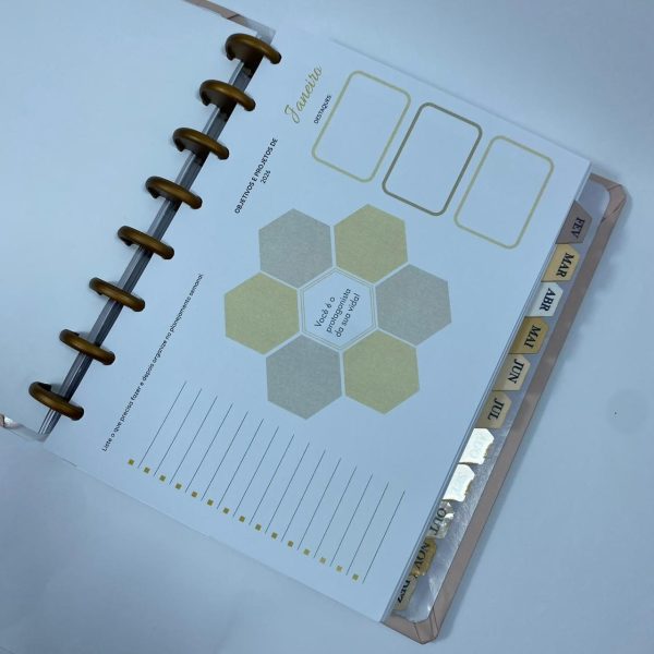 Planner de Discos Personalizado 2026 - Harmonia - Neutro - Imagem 5