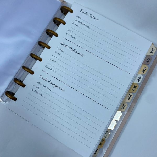 Planner de Discos Personalizado 2026 - Harmonia - Neutro - Imagem 4