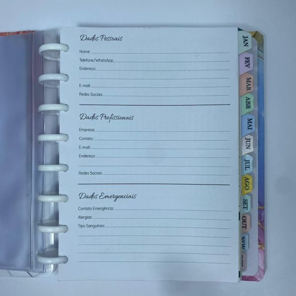 Planner de Discos Personalizado 2026 - Harmonia - Color - Imagem 3