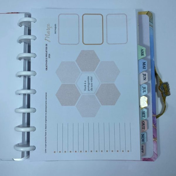 Planner de Discos Personalizado 2026 - Harmonia - Color - Imagem 4