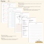 Planner Personalizado 2026 - Harmonia - Color - Imagem 5